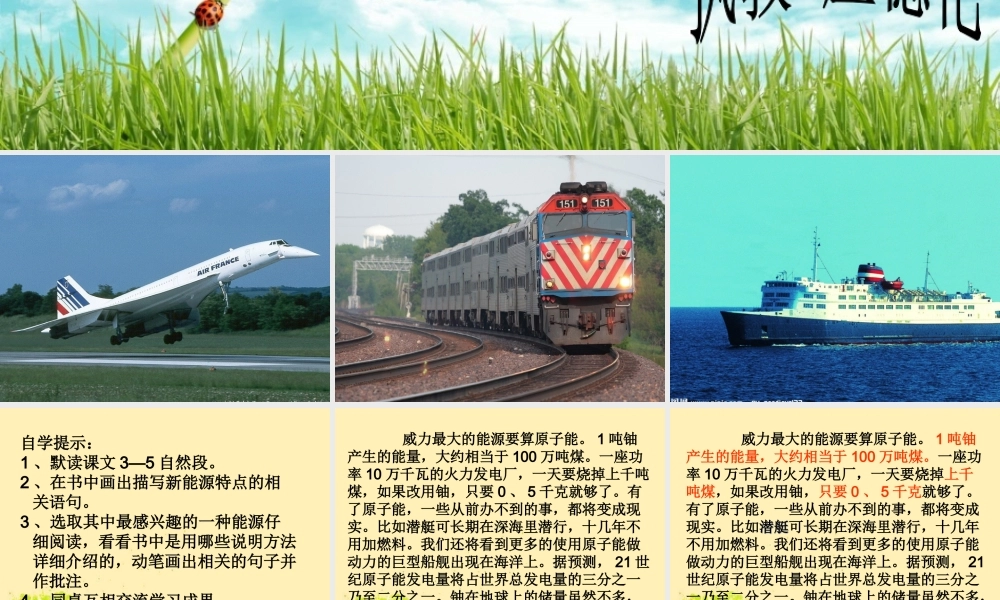 世纪的能源课件