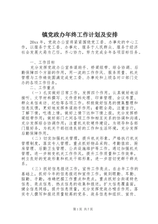镇党政办年终工作计划及安排