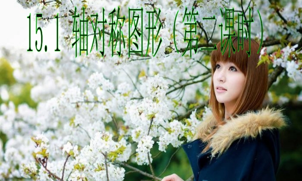 轴对称图形课件 (2)