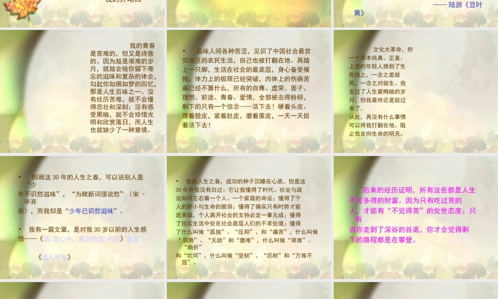 钟志农-人生四季话成功