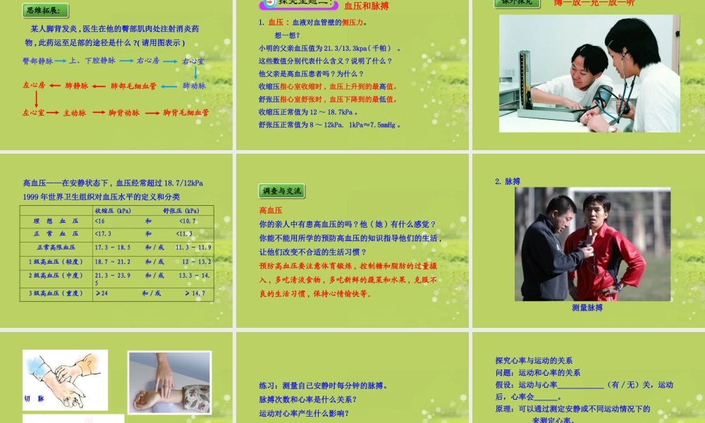 《血液循环》课件2