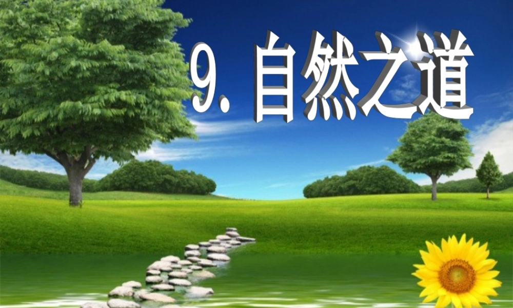 《自然之道》课件 (2)