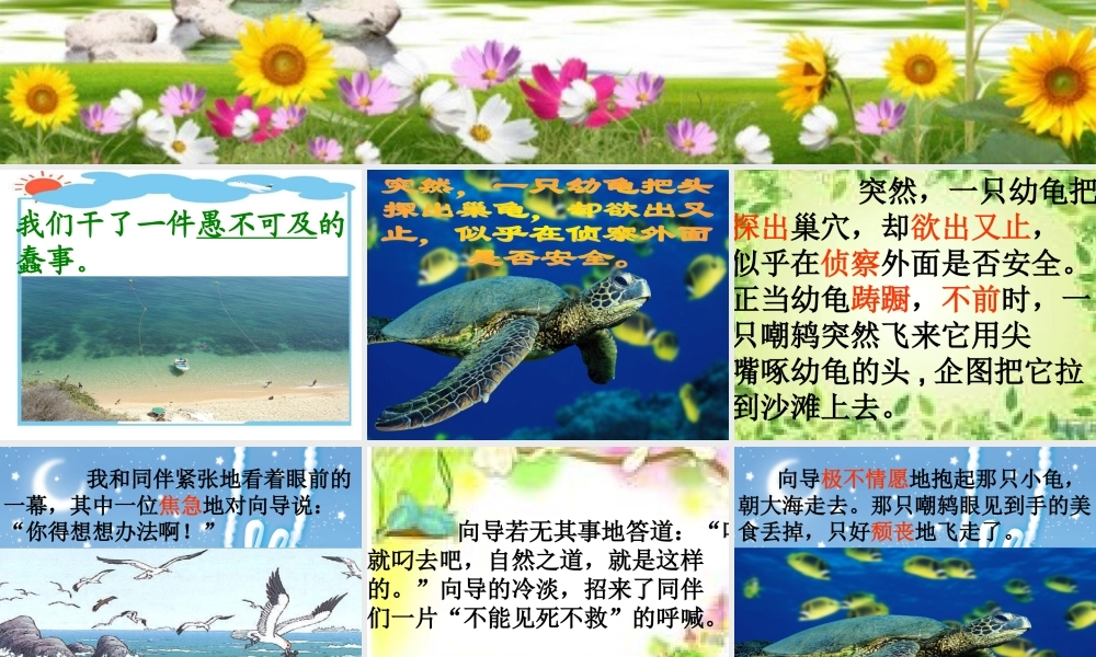 《自然之道》课件 (2)