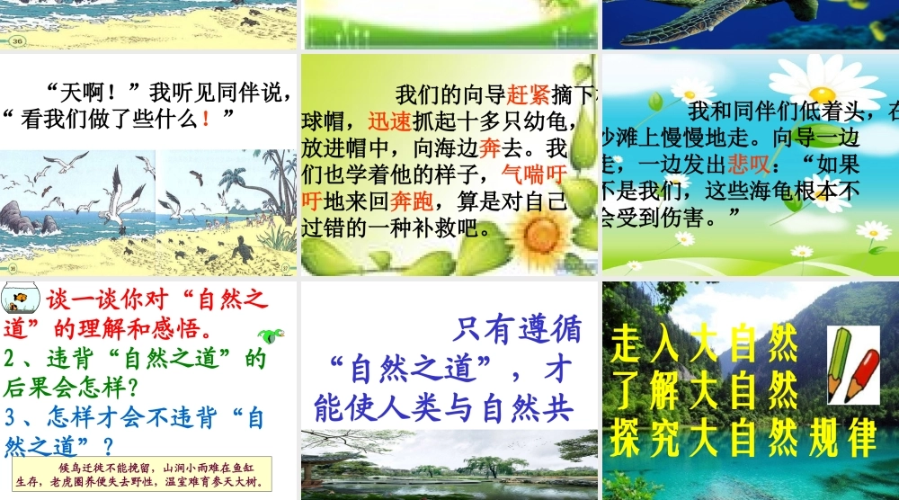 《自然之道》课件 (2)