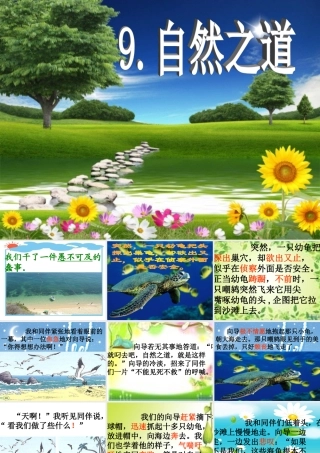《自然之道》课件 (2)