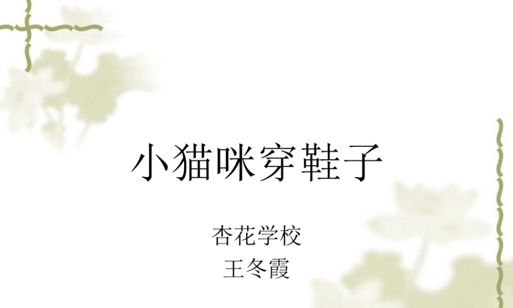 小猫咪穿鞋子（自制）