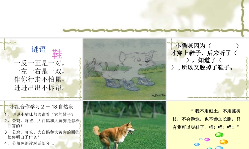小猫咪穿鞋子（自制）