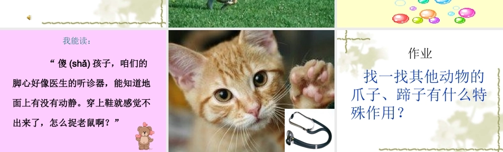 小猫咪穿鞋子（自制）