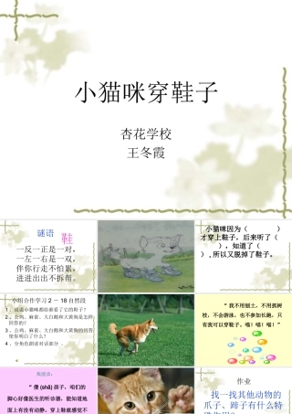 小猫咪穿鞋子（自制）