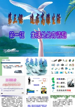 人教版思想品德初一下册第三课第一节生活处处有情趣