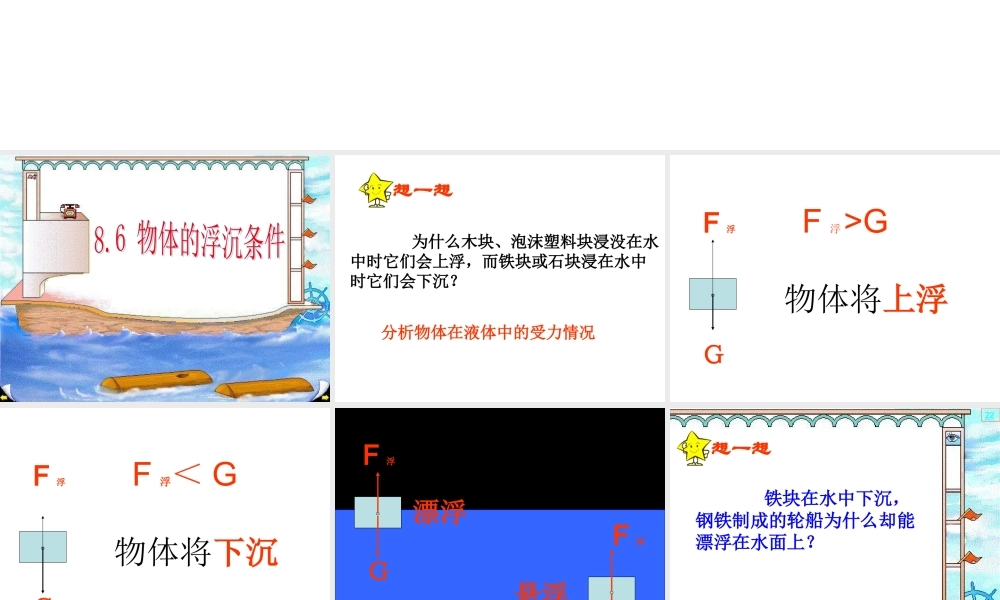 物体的浮沉条件02