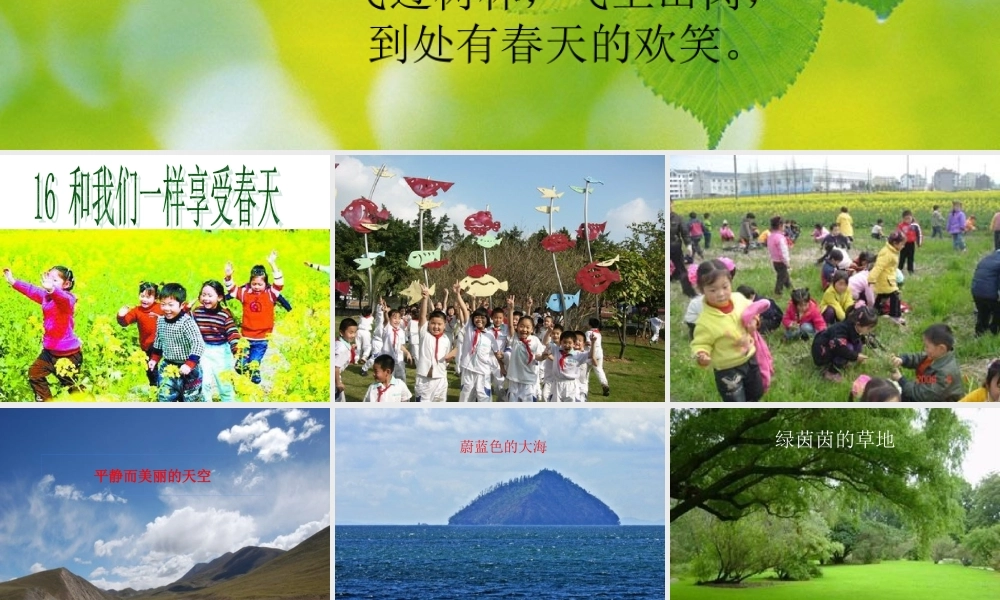 和我们一样享受春天完美版