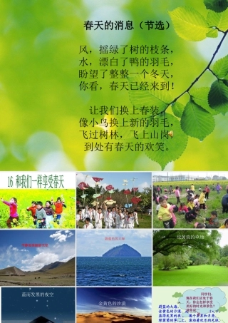 和我们一样享受春天完美版