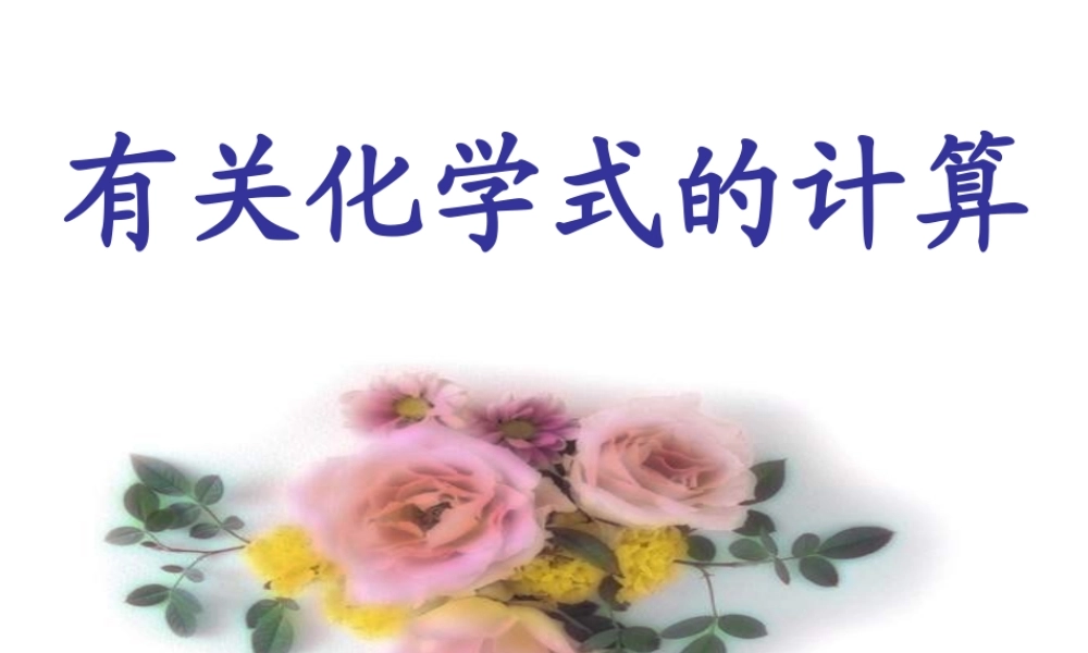 有关化学式的计算 (2)