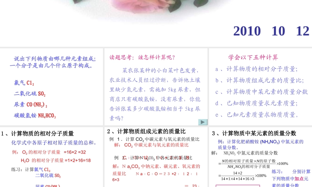 有关化学式的计算 (2)