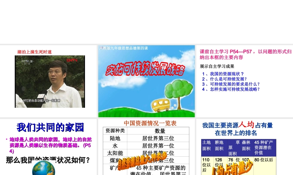 实施可持续发展战略8