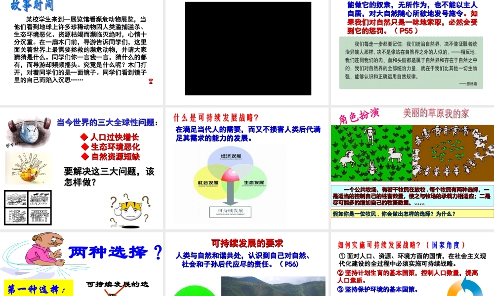 实施可持续发展战略8