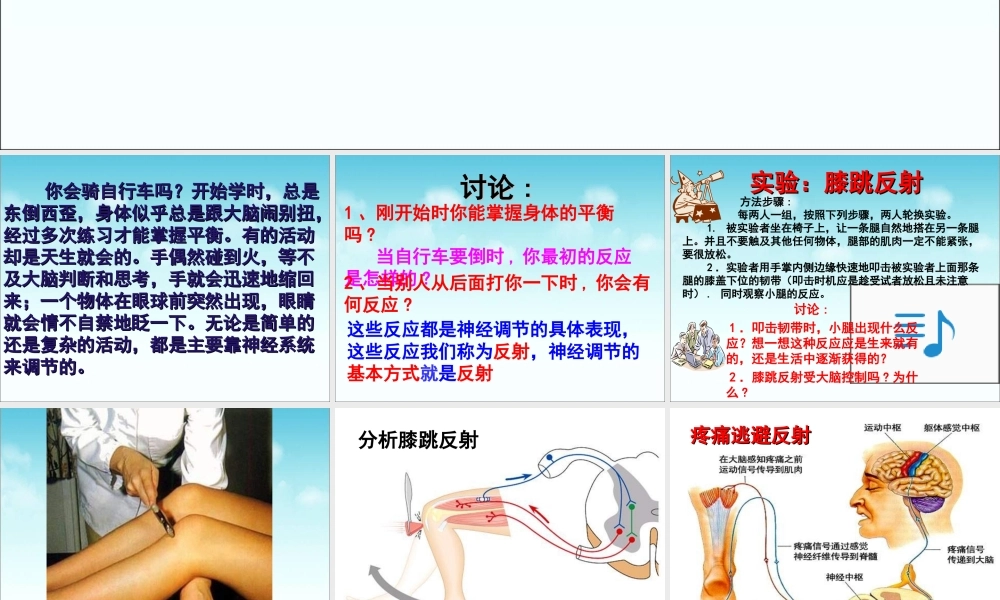 《神经调节的基本方式》参考课件