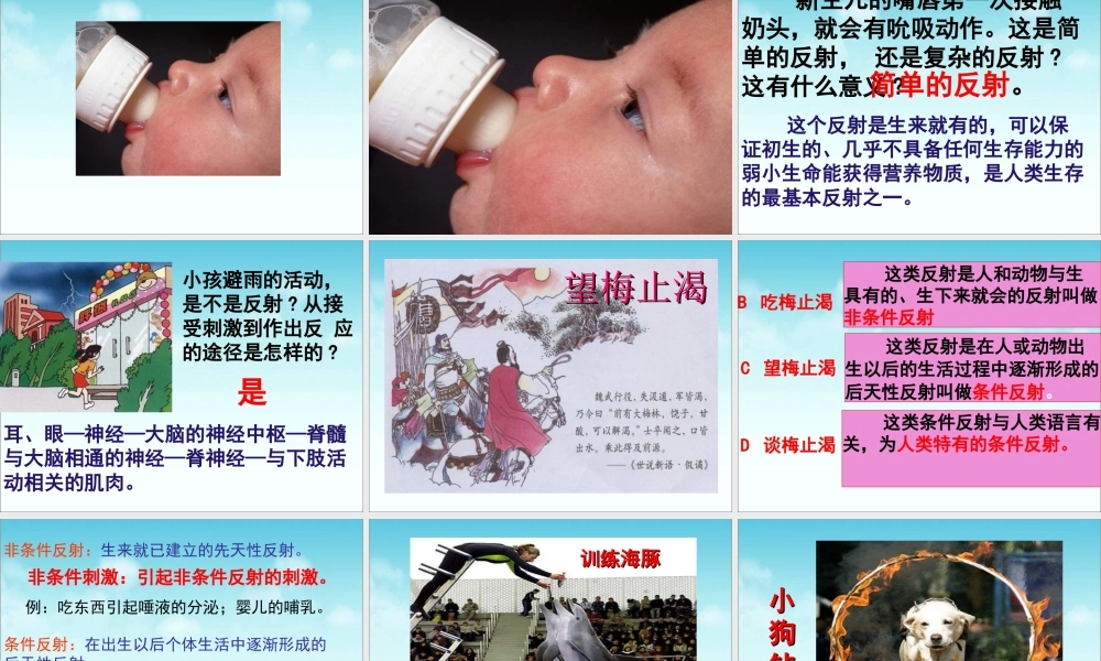 《神经调节的基本方式》参考课件