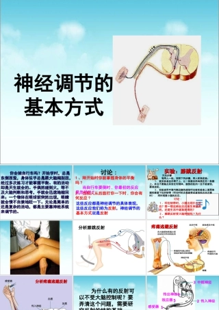 《神经调节的基本方式》参考课件