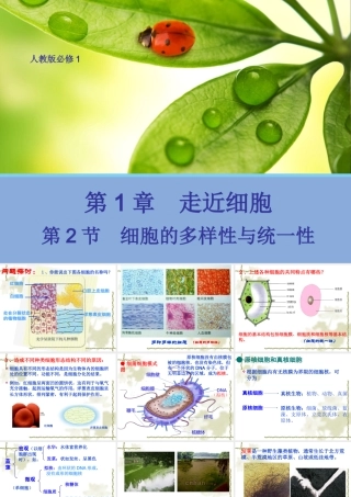 【生物】12细胞的多样性与统一性课件1（人教版必修1）
