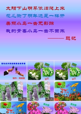 致我逝去的青春