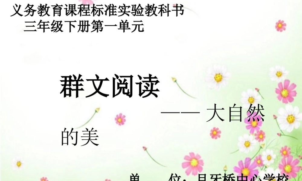 崔玮群文阅读