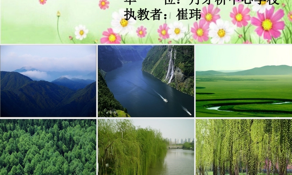 崔玮群文阅读