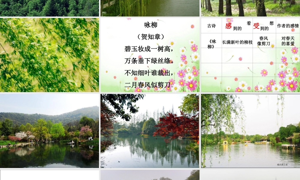 崔玮群文阅读