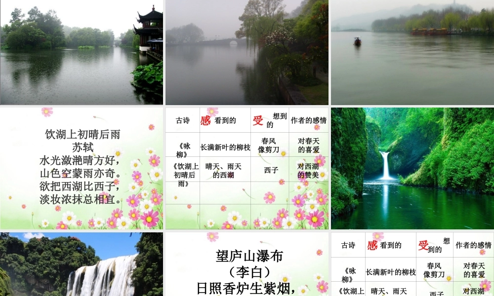 崔玮群文阅读