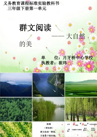崔玮群文阅读