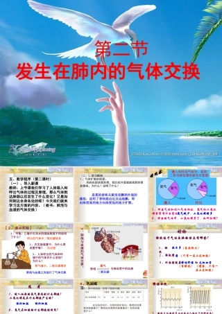 发生在肺内的气体交换