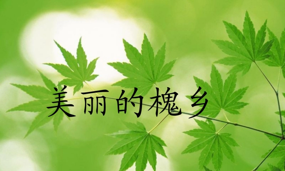 美丽的槐乡课件
