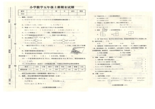 县五数期末试卷