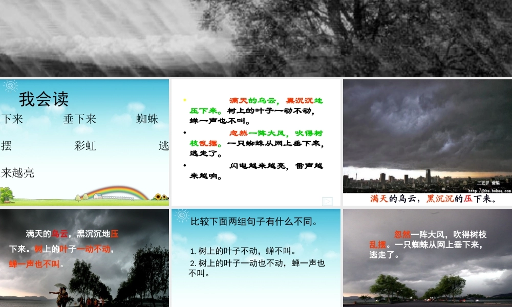二年级下册语文课件雷雨PPT1