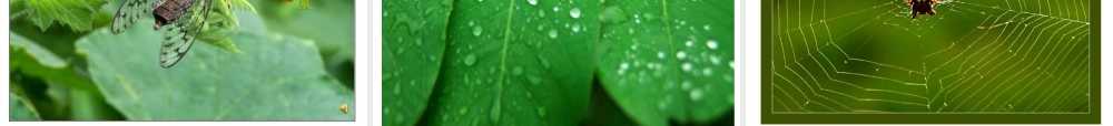 二年级下册语文课件雷雨PPT1