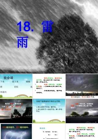 二年级下册语文课件雷雨PPT1