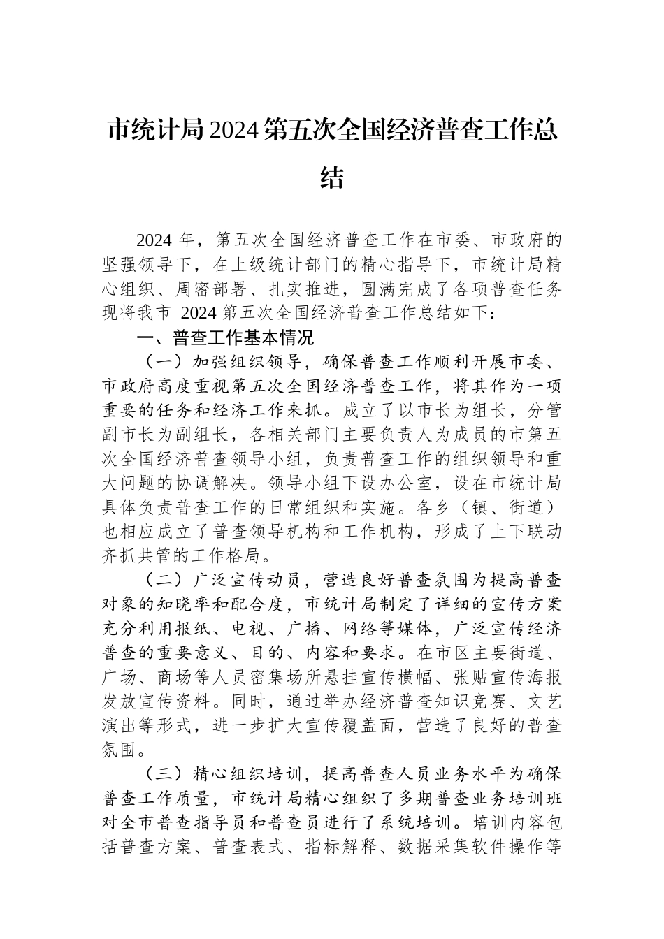 市统计局2024第五次全国经济普查工作总结_第1页