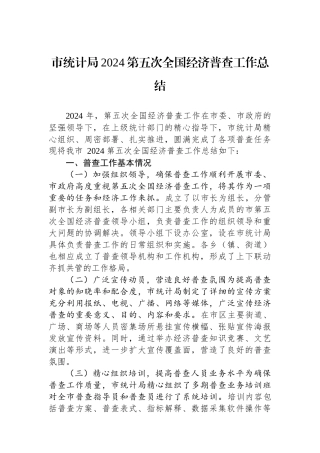 市统计局2024第五次全国经济普查工作总结