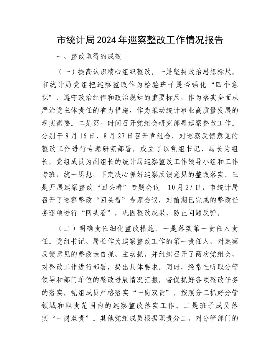 市统计局2024年巡察整改工作情况报告_第1页