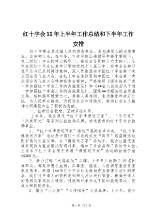 红十字会XX年上半年工作总结和下半年工作安排_1