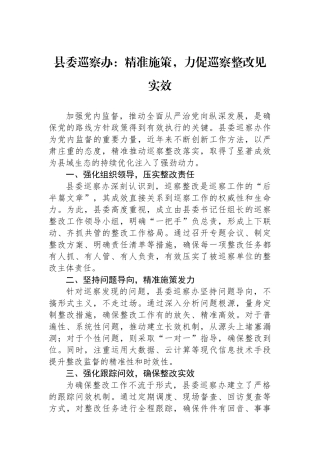 县委巡察办：精准施策，力促巡察整改见实效