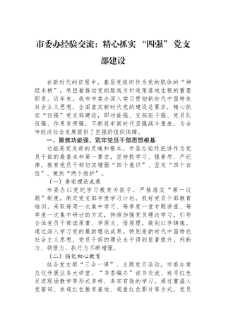 市委办经验交流：精心抓实 “四强” 党支部建设