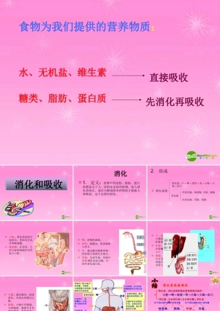 七年级生物 第二节消化和吸收课件 新人教版 课件