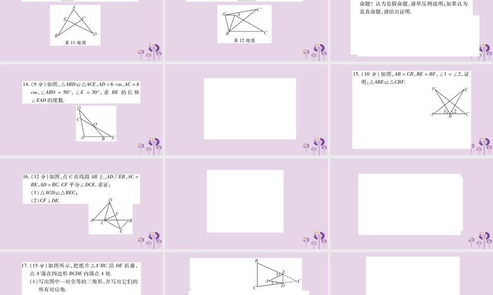 八年级数学上册 双休作业(五)课件 (新版)华东师大版 课件