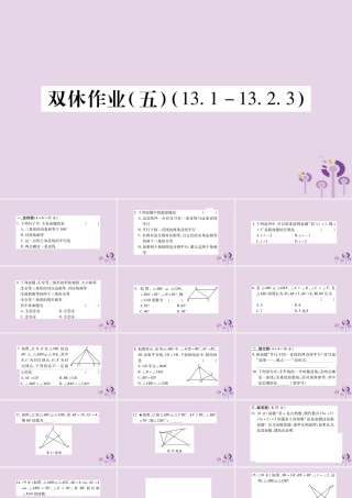 八年级数学上册 双休作业(五)课件 (新版)华东师大版 课件