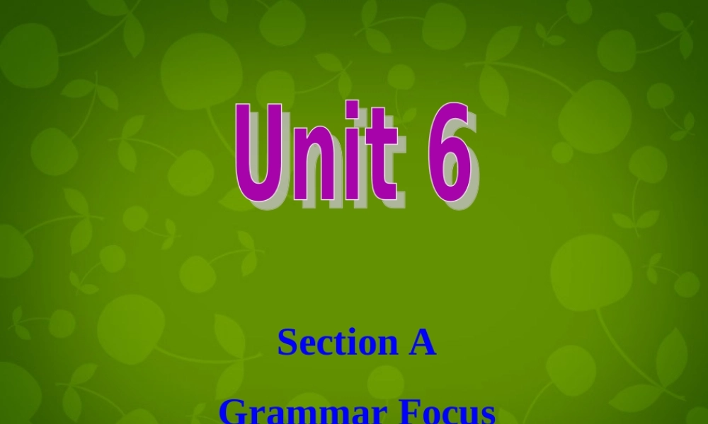 九年级英语全册 Unit 6 When was it invented Grammar Focus课件 (新版)人教新目标版 课件