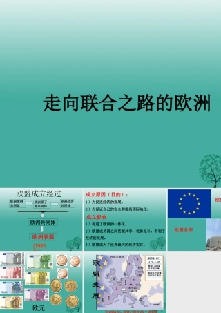 九年级历史下册 第9课(西欧和日本经济的发展)走向联合之路的欧洲课件 新人教版 0106319