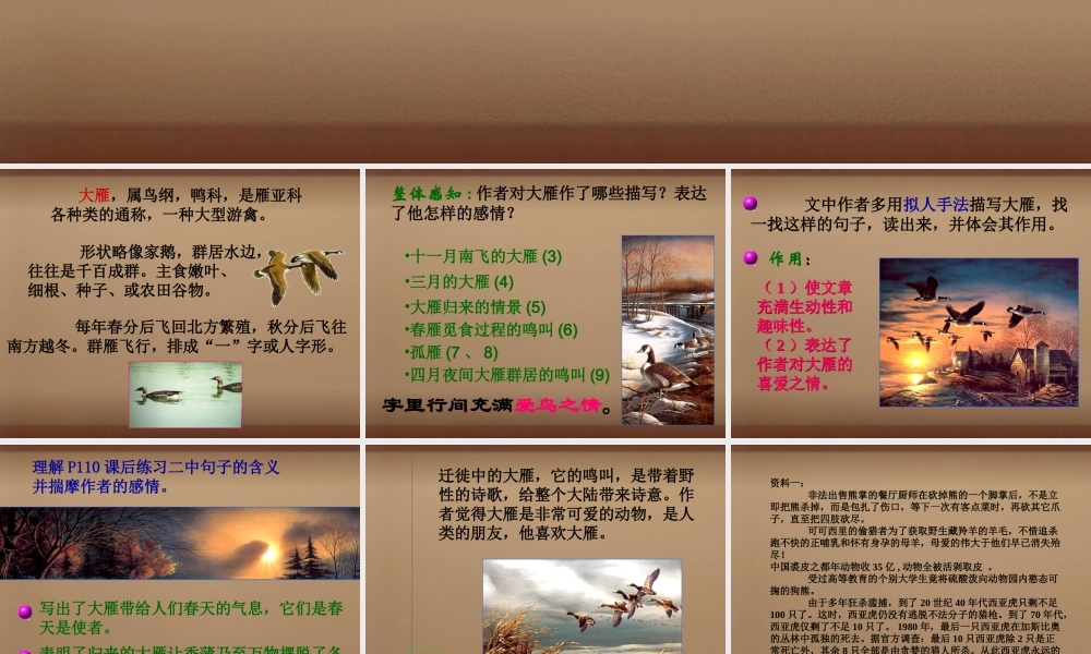 八年级语文下册 第14课大雁归来课件 (新版)新人教版 课件