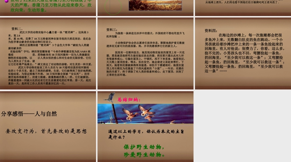 八年级语文下册 第14课大雁归来课件 (新版)新人教版 课件